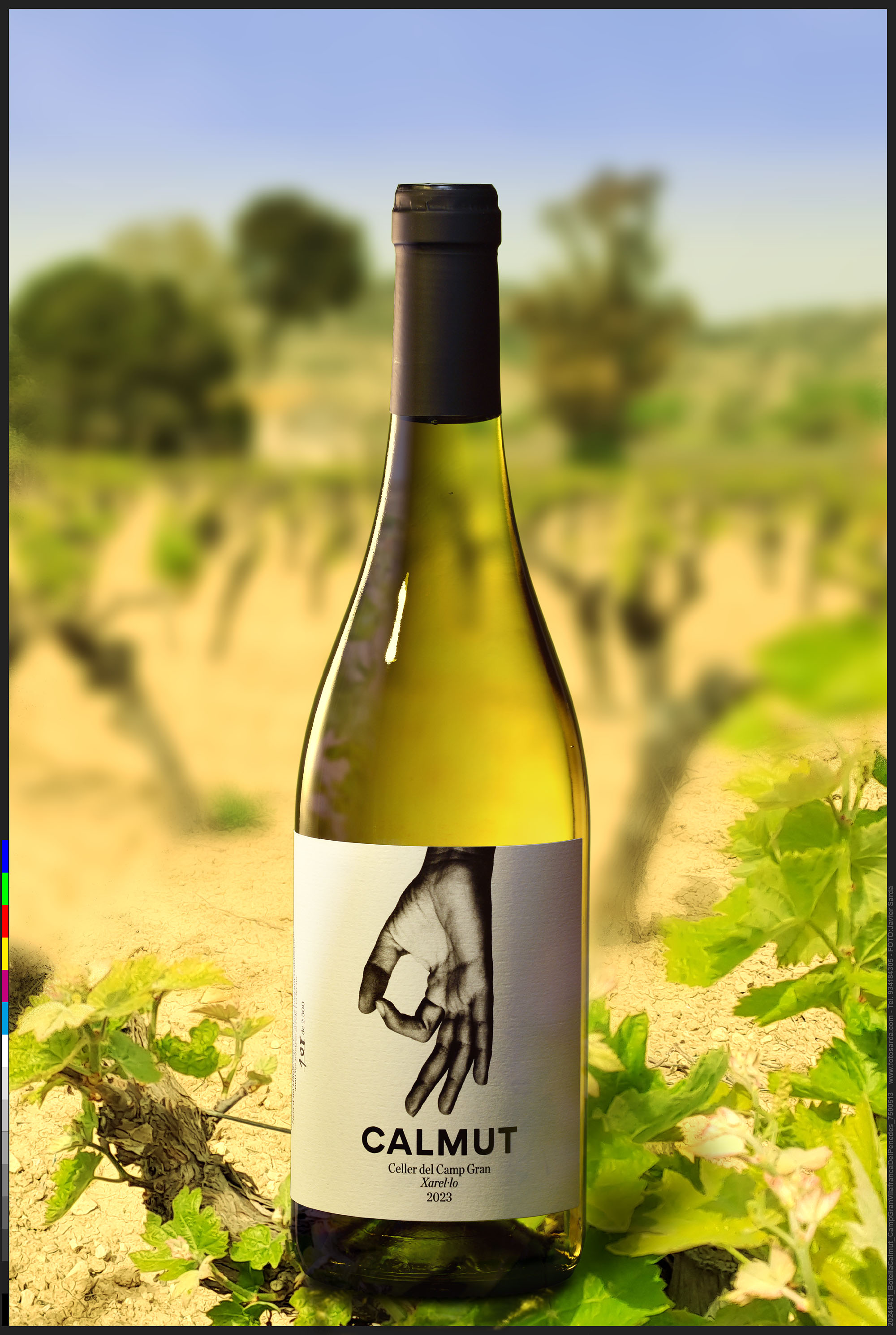 20240422_BotellaCalmut_CampGranVilafrancaDelPenedes_7500513